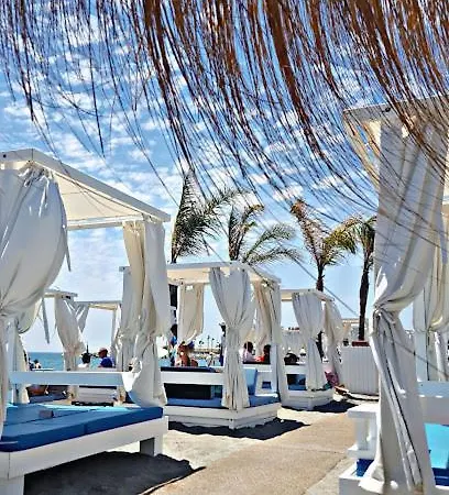 Palm Serenity -