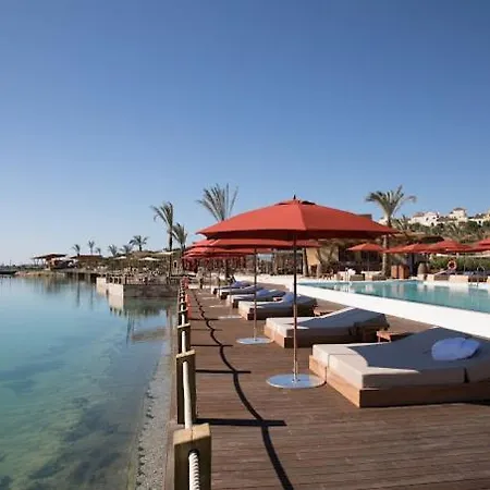 Palm Serenity -