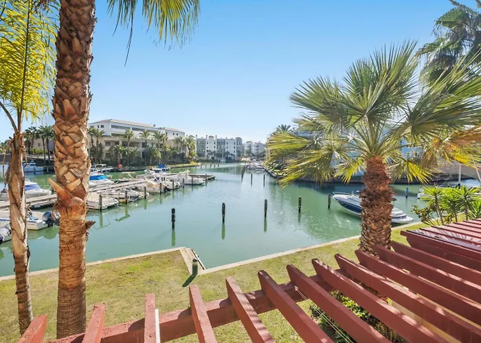 Palm Serenity - *