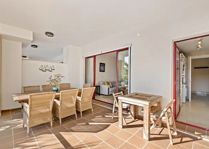 Palm Serenity -