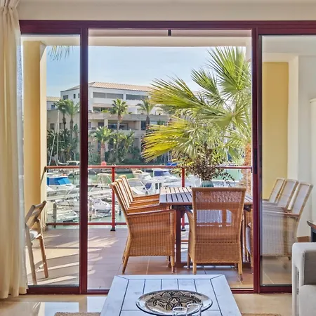 Palm Serenity -