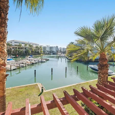 Palm Serenity - *